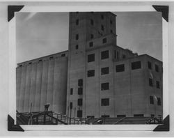 Poultry Producers of Central California, Petaluma feed mill under construction, 1938