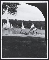 Rowboat and sailboats on Lake Ralphine