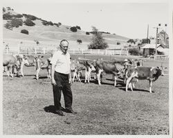 Alex Stornetta at the Stornetta Dairy, 3142 Carneros Highway, Sonoma, California, 1976