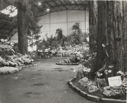 Redwood Wonderland display at the Hall of Flowers at the Sonoma County Fair, Santa Rosa, California, 1960