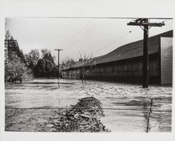 Henry Hess Co. lumber and building material