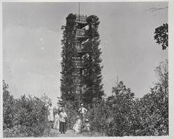 Living tower, Camp Meeker