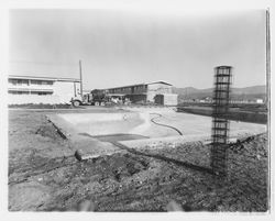 Building the pool at Mayette Swim Center, Santa Rosa, California, 1959