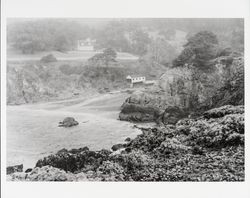 View of Salt Point coast