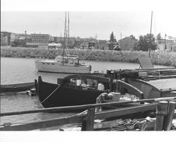 Downtown Petaluma from the Turning Basin