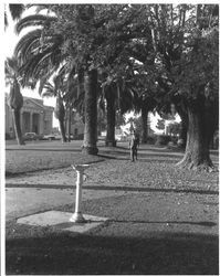 Man walking in Hill Plaza Park