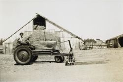 Elmer Vivenzi seated on a tractor with a front-mounted hay stacker on a Lakeville ranch, Petaluma, California, about 1934