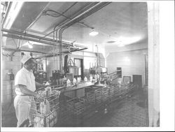 Processing dairy products at Petaluma Cooperative Creamery, Petaluma, California, 1963