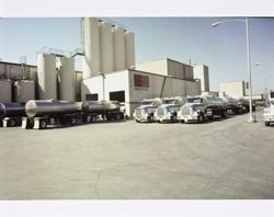 California Cooperative Creamery tank trucks parked at the Leprino Foods plant in Tracy, California, about 1975