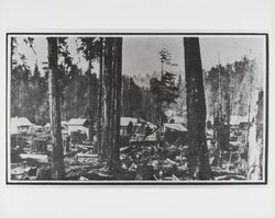 Guerneville, California, 1874