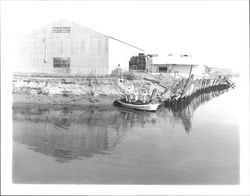 Motor boat tied up at pilings on the Petaluma River, Petaluma, California, 1956