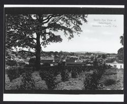 Bird's eye view of Sebastopol, Sonoma County, California