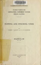 Topping and pinching vines