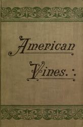 American vines (resistant stock) ; their adaptation, culture, grafting and propagation