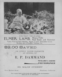 Advertisement for Elmer Lamb, Real Estate, Insurance, Petaluma, California, showing a child sitting by baby chicks. 1904