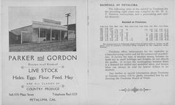 Advertisement for and view of Parker and Gordon, livestock dealer, Petaluma, California, about 1905