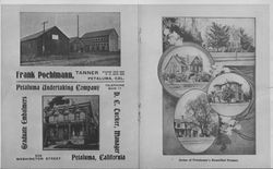 Advertisements for and exterior views of various Petaluma, California businesses, about 1910