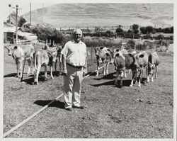 Charles Stornetta at his dairy, 3142 Carneros Highway, Sonoma, California, 1976