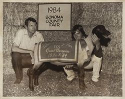 Sonoma County Fair FFA Grand Champion Lamb, Santa Rosa, California, 1984