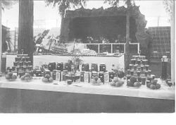1912 Gravenstein Apple Show display with a table of jars of either juice, jelly or cider and plates of apples