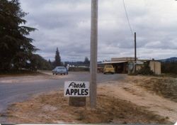 Hallberg Apple Farm roadside stand sign along Gravenstein Highway North (Highway 116), Sebastopol, California, 1979