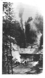 Sturgeon's Sawmill early 1940s at Green Hill, Sebastopol, California