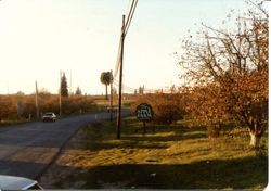 Hallberg Apple Farm roadside stand sign along Gravenstein Highway North (Highway 116), Sebastopol, California, 1979