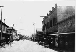 Bodega Avenue looking east, about 1900