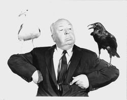 Birds movie promotional photo of Alfred Hitchcock with a crow and a seagull on either arm