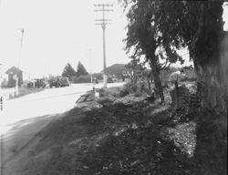 Scene of a car accident looking South on Gravenstein Highway (116) at the intersection of Sparkes Road, 1930s