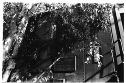 P&SR (Petaluma and Santa Rosa) railroad box car put in place behind the Sebastopol P&SR railroad depot that has become the West County Museum run by the Western Sonoma County Historical Society