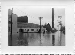 Flooded streets of east Sebastopol around the Sebastopol Road and Laguna area, 1951