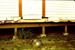 Foundation of the Cenazzi Ranch House on Coleman Valley Road between Bodega Bay and Occidental, April 1983