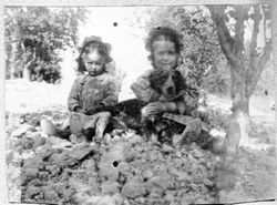 Blanche and Alice Riddell with Vicki the dog, about 1908