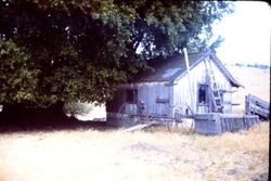 Unidentified barn in western Sonoma County, 1979