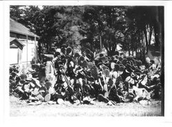 Large growth of spineless cactus with house or barn in background