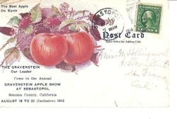 1913 Gravenstein Apple Show advertisement postcard, postmarked and with a 1 cent stamp