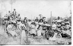 Hallberg hop picking, about 1912