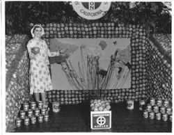 Miriam Burdo at exhibit of 1920 Gravenstein Apple Fair holding a Gravenstein apple and pointing to Siberia on a map