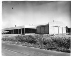 O. A. Hallberg & Sons cannery in Graton, about 1950