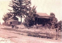 Gold Ridge Experiment Farm cottage and barn in Sebastopol