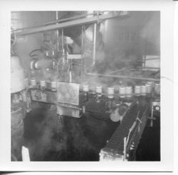 Hallberg apple sauce being made on line