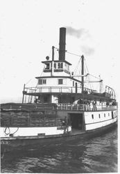 Paddle-wheel steamer "Gold"