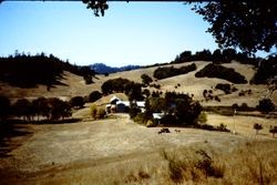 Green Valley Ranch at 13024 Green Valley Road, Sebastopol, California