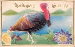 Thanksgiving postcard turkey and caption, "Thanksgiving Greetings"