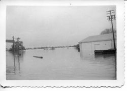 1951 flood in the Laguna de Santa Rosa area of Sebastopol surrounds the Barlow apple processing buildings