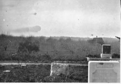 White marble headstone of Sarah Jane White in Sebastopol Memorial Lawn on Bodega Avenue, about 1918