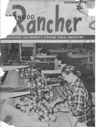 Silva Brothers Ranch apple line with female workers culling and packing apples on the cover of the September, 1960 "Redwood Rancher--Northern California's Leading Rural Magazine"