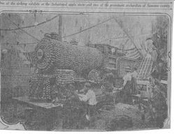 Workers making an exhibit for the 1910 Gravenstein Apple Show