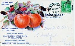 Postcard advertising the Gravenstein Apple Show in Sebastopol, 1913